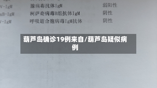 葫芦岛确诊19例来自/葫芦岛疑似病例