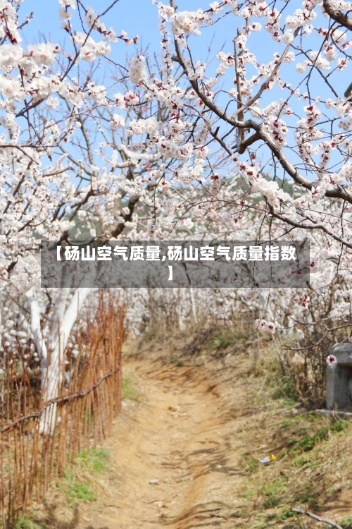 【砀山空气质量,砀山空气质量指数】