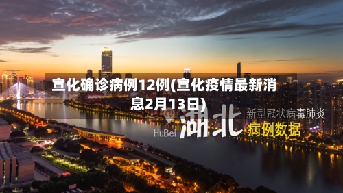 宣化确诊病例12例(宣化疫情最新消息2月13日)-第2张图片