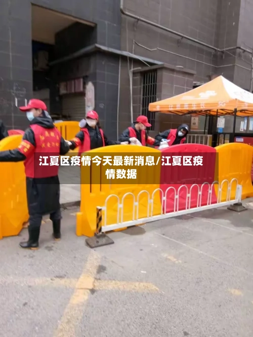 江夏区疫情今天最新消息/江夏区疫情数据-第2张图片