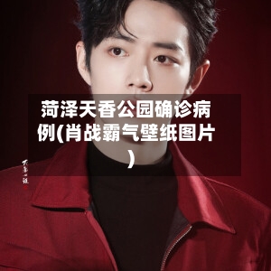 菏泽天香公园确诊病例(肖战霸气壁纸图片)-第3张图片