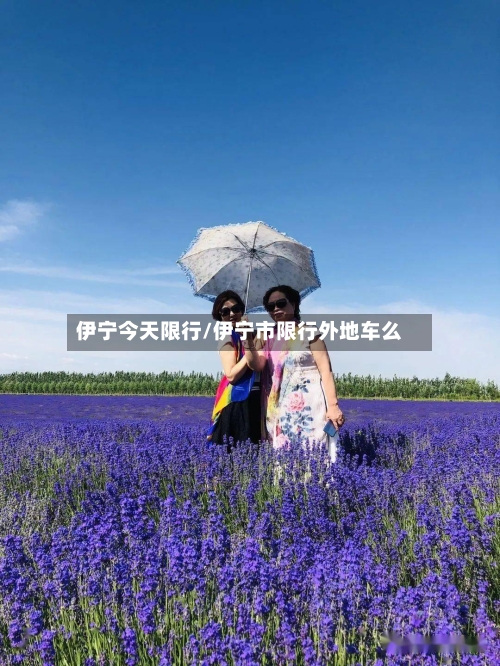 伊宁今天限行/伊宁市限行外地车么