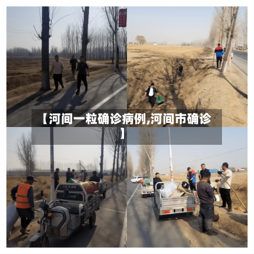 【河间一粒确诊病例,河间市确诊】-第2张图片