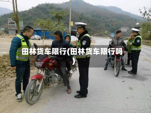 田林货车限行(田林货车限行吗)-第2张图片