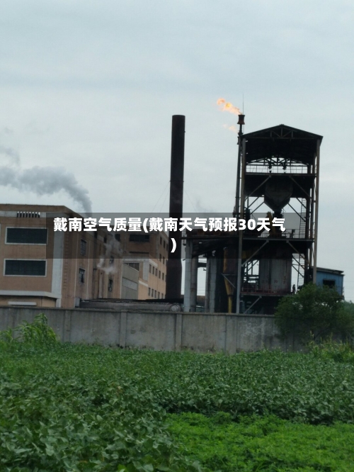 戴南空气质量(戴南天气预报30天气)