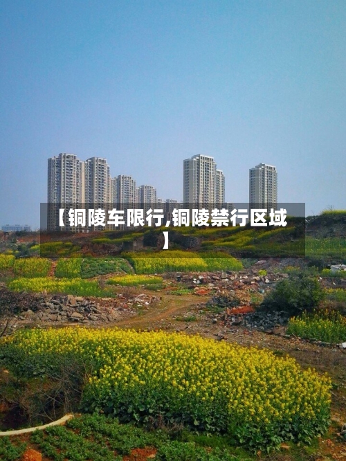 【铜陵车限行,铜陵禁行区域】