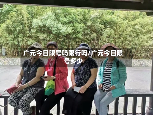 广元今日限号吗限行吗/广元今日限号多少