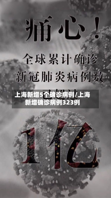 上海新增5个确诊病例/上海新增确诊病例323例-第3张图片