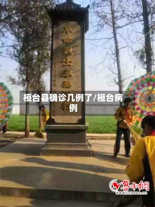 桓台县确诊几例了/桓台病例-第2张图片