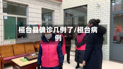 桓台县确诊几例了/桓台病例