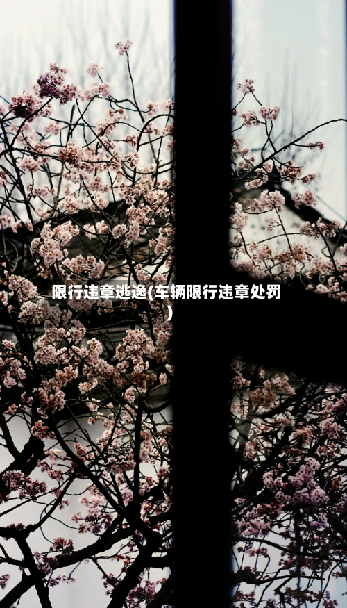 限行违章逃逸(车辆限行违章处罚)
