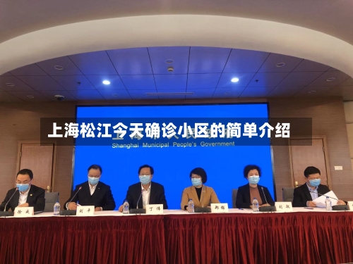 上海松江今天确诊小区的简单介绍