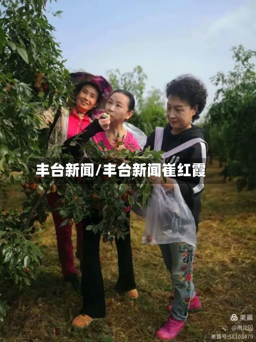 丰台新闻/丰台新闻崔红霞-第3张图片