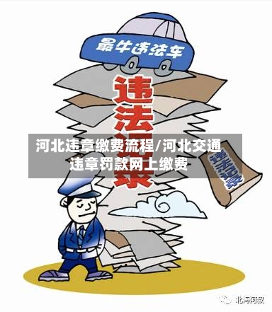 河北违章缴费流程/河北交通违章罚款网上缴费-第2张图片
