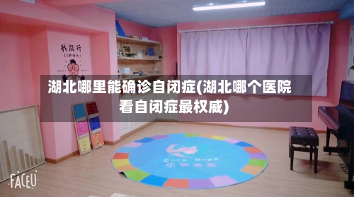 湖北哪里能确诊自闭症(湖北哪个医院看自闭症最权威)-第2张图片