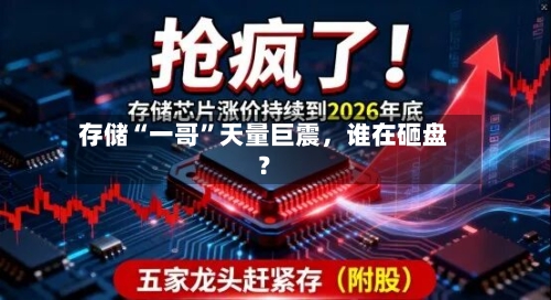 存储“一哥	”天量巨震，谁在砸盘？-第2张图片