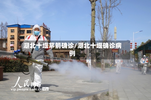 湖北十堰茅箭确诊/湖北十堰确诊病例