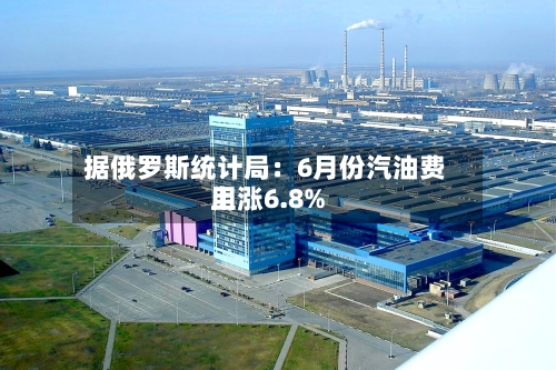据俄罗斯统计局：6月份汽油费用上涨6.8%