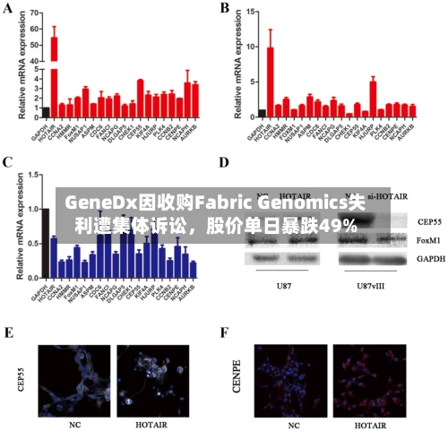 GeneDx因收购Fabric Genomics失利遭集体诉讼，股价单日暴跌49%-第2张图片