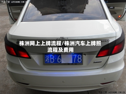 株洲网上上牌流程/株洲汽车上牌照流程及费用-第2张图片