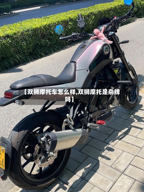 【双狮摩托车怎么样,双狮摩托是杂牌吗】-第2张图片