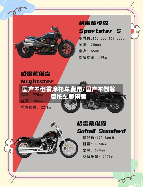 国产不倒翁摩托车费用/国产不倒翁摩托车费用表-第3张图片