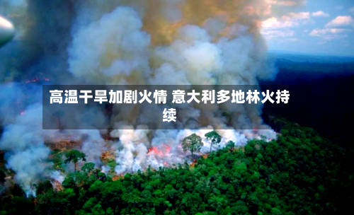 高温干旱加剧火情 意大利多地林火持续