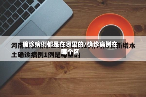 确诊病例都是在哪里的/确诊病例在哪个区