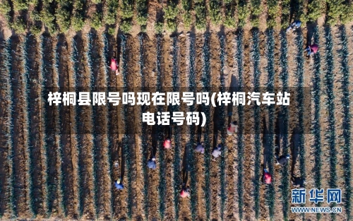 梓桐县限号吗现在限号吗(梓桐汽车站电话号码)