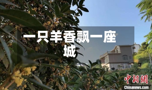 一只羊香飘一座城