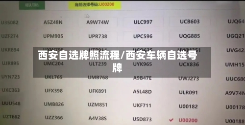西安自选牌照流程/西安车辆自选号牌-第2张图片
