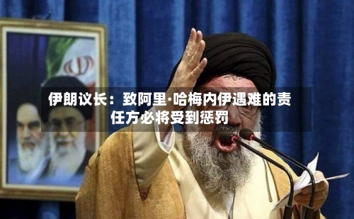 伊朗议长:致阿里·哈梅内伊遇难的责任方必将受到惩罚-第2张图片