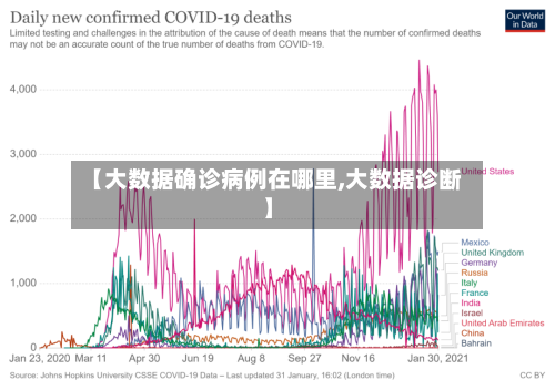 【大数据确诊病例在哪里,大数据诊断】