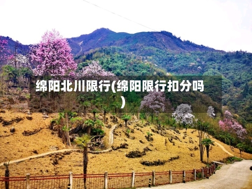 绵阳北川限行(绵阳限行扣分吗)-第3张图片
