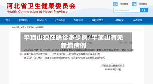 平顶山现在确诊多少例/平顶山有无新增病例-第2张图片