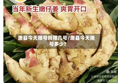 唐县今天限号吗限几号/唐县今天限号多少?-第2张图片