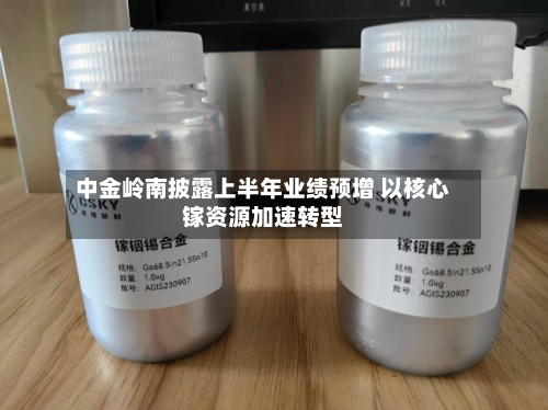中金岭南披露上半年业绩预增 以核心镓资源加速转型-第3张图片