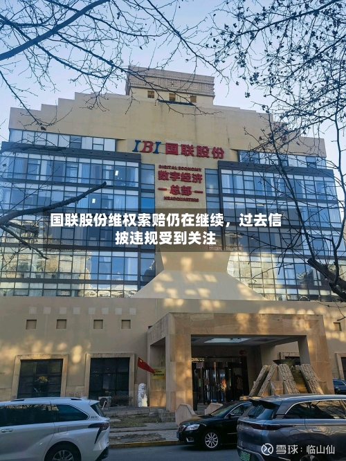 国联股份维权索赔仍在继续，过去信披违规受到关注-第3张图片