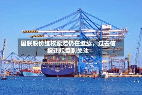国联股份维权索赔仍在继续，过去信披违规受到关注-第2张图片