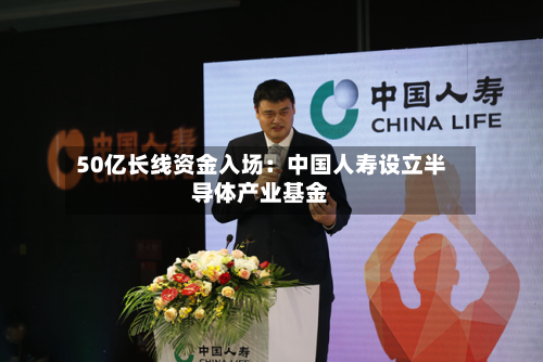 50亿长线资金入场:中国人寿设立半导体产业基金-第3张图片
