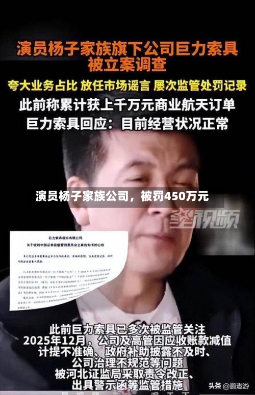 演员杨子家族公司，被罚450万元-第3张图片