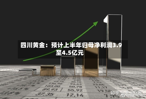 四川黄金:预计上半年归母净利润3.9至4.5亿元-第3张图片
