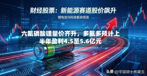 六氟磷酸锂量价齐升，多氟多预计上半年盈利4.5至5.6亿元-第2张图片