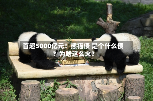 首超5000亿元!熊猫债 是个什么债?为啥这么火?-第3张图片