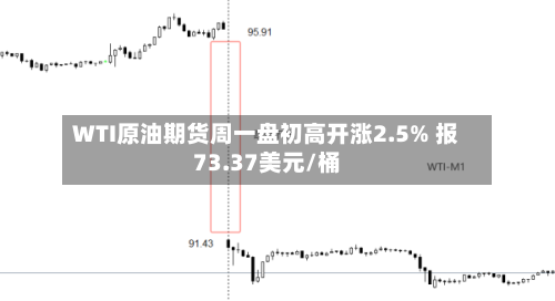 WTI原油期货周一盘初高开涨2.5% 报73.37美元/桶