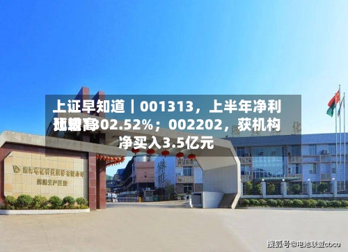 上证早知道｜001313	，上半年净利比较高预增1302.52%；002202，获机构净买入3.5亿元-第3张图片