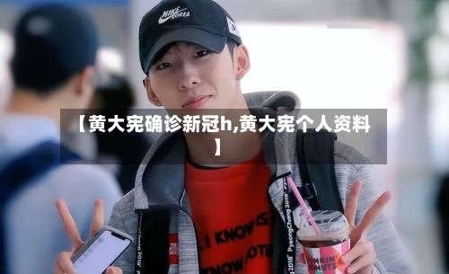 【黄大宪确诊新冠h,黄大宪个人资料】-第2张图片
