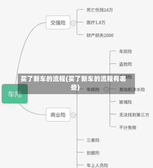 买了新车的流程(买了新车的流程有哪些)