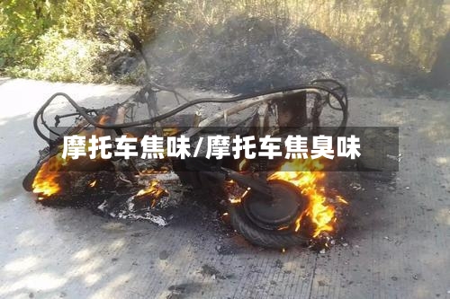 摩托车焦味/摩托车焦臭味