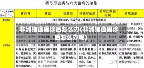 非洲猪瘟确诊后怎么办(非洲猪瘟确诊后怎么办呢)-第2张图片